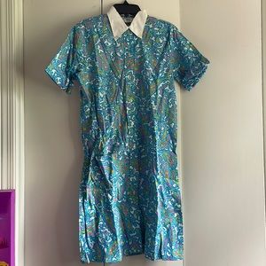 Absolutely Beautiful Vintage Paisley Collared Dress